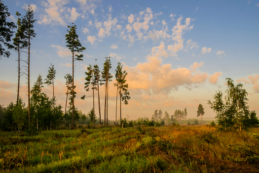 At sunrise.
