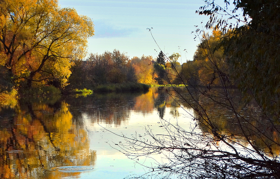 Autumn Motives