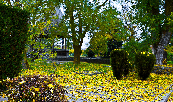 Golden Autumn