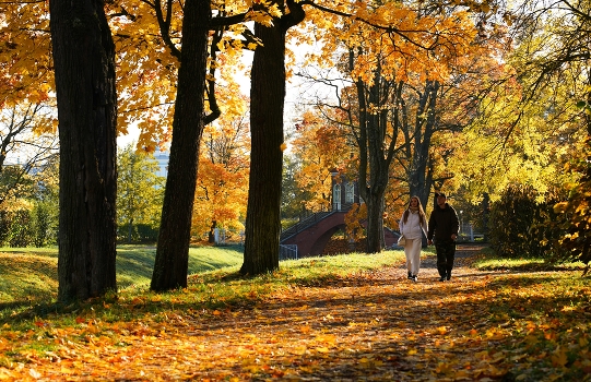 Autumn