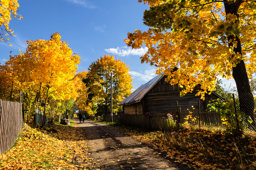 Autumn in the village