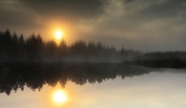 Morgennebel