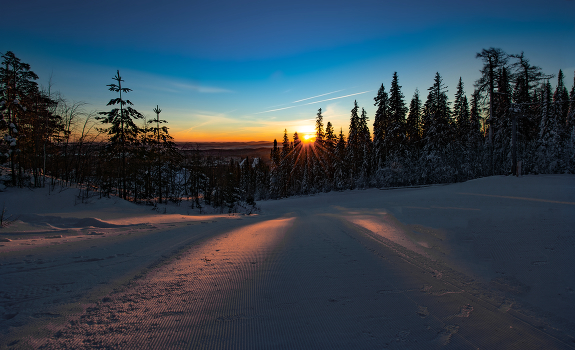 Morning Rays