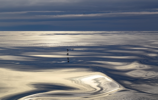 Blue Horizon 2