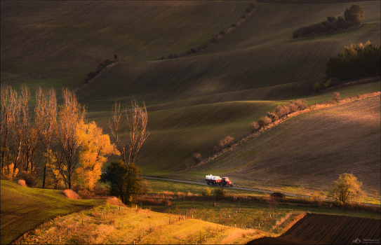 Battle for the harvest