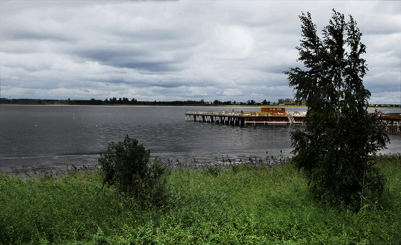 in late summer