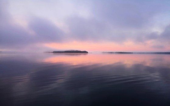 Foggy morning