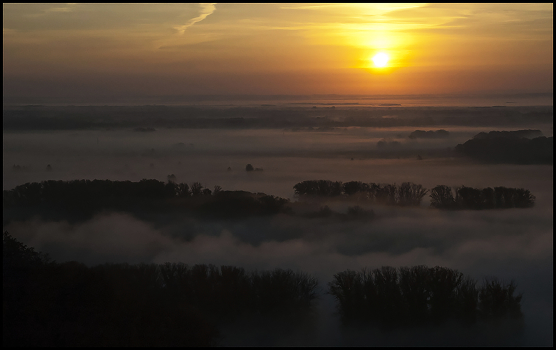 Sunrise in the forest