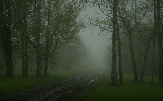 Foggy morning