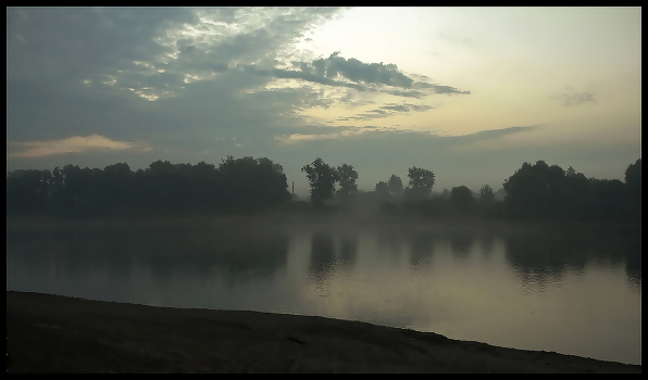 Sunrise in the forest