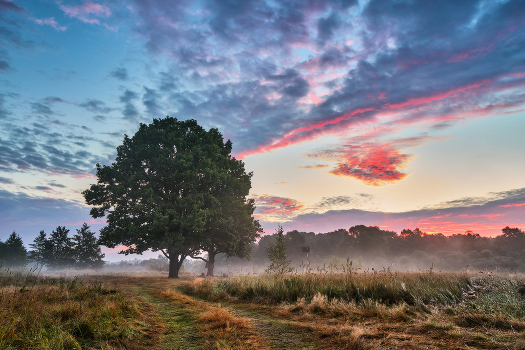 Morning on the Berezina