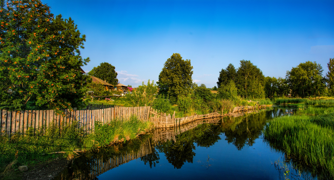 Rural landscape