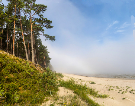 Fog and sun