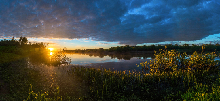 June Dawn