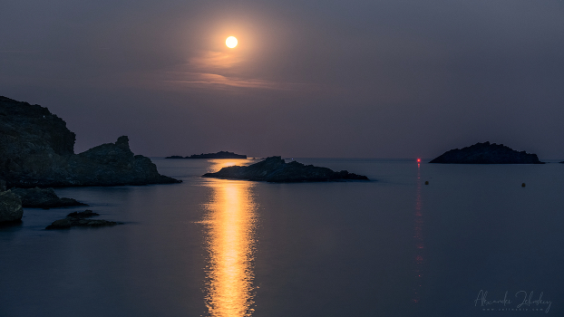 Moonlight night