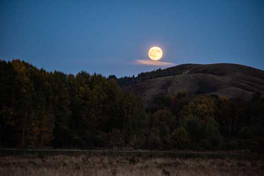 Full moon