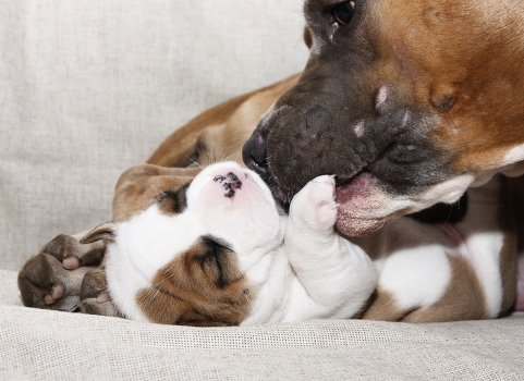 Superhuman tenderness ...