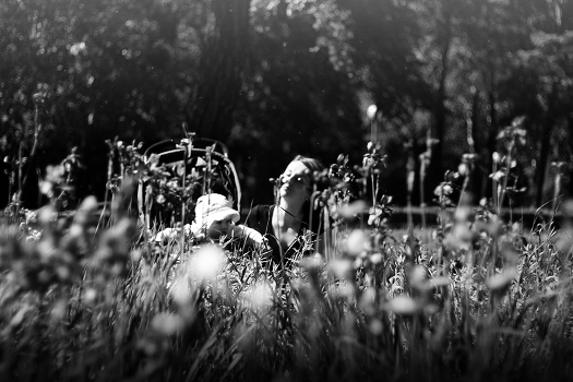 In Grasses / herbs have