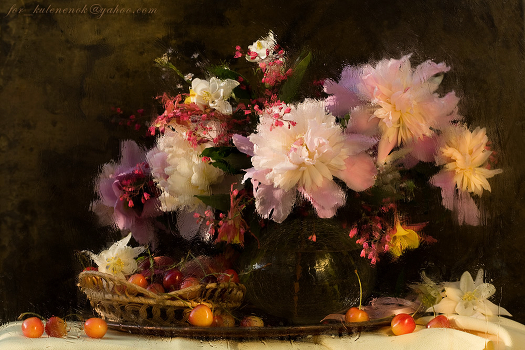 Still life with peonies and cherry.
