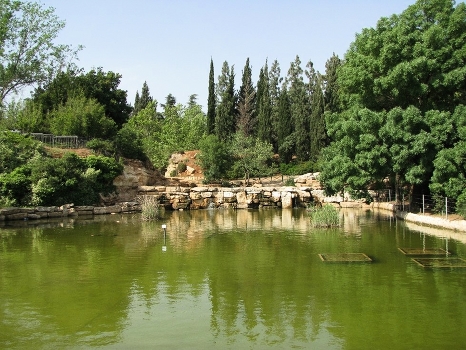 Park