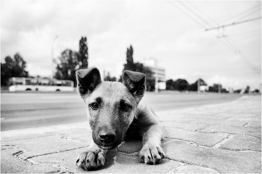 City Life II