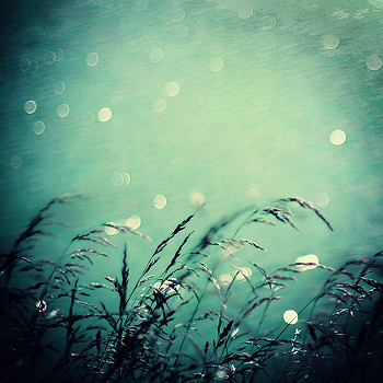 Dark Water
