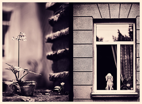 inshy Lviv ...