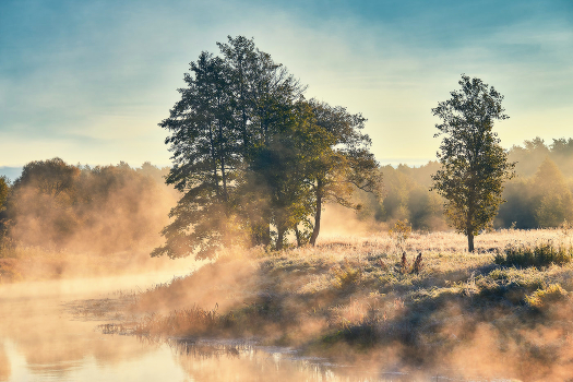 Autumn light