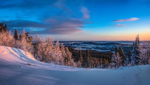 Winter panorama