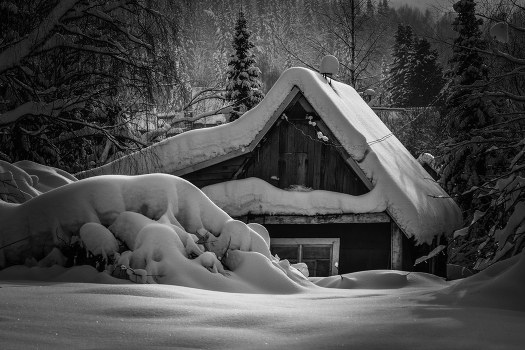 Winter sketches