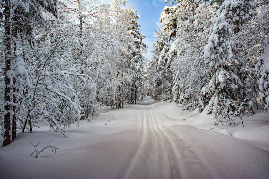 Winter road