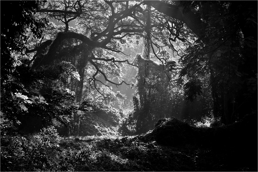 The Lost World