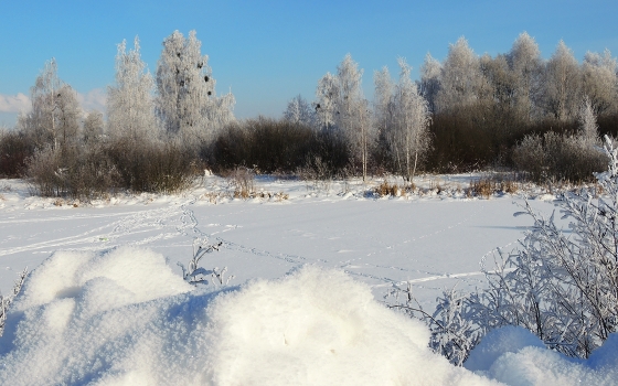 Footprints in the snow