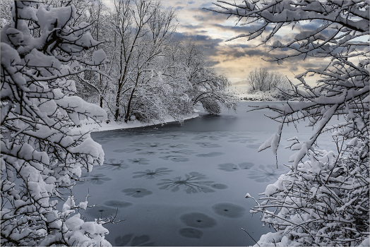 Winter Beach