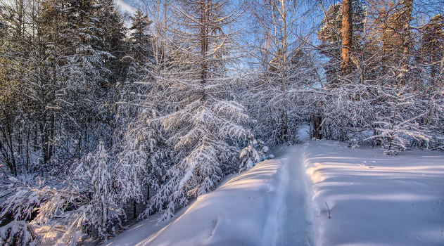 Path