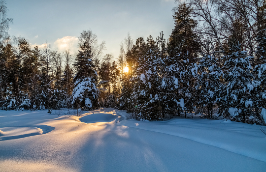 January evening