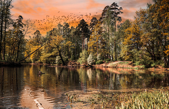 Autumn Pond