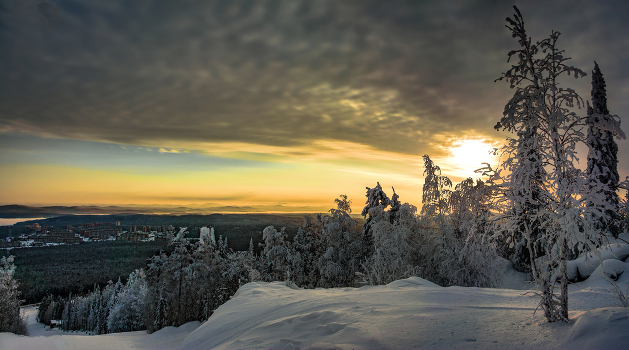 Winter panorama