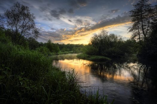 In the silence of the dawn
