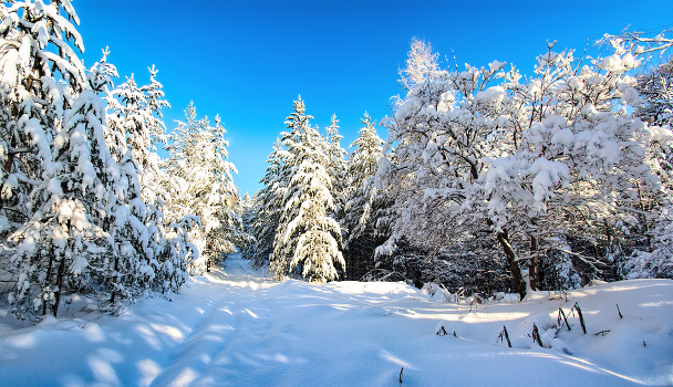 After snowfall