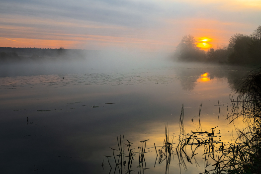 At dawn