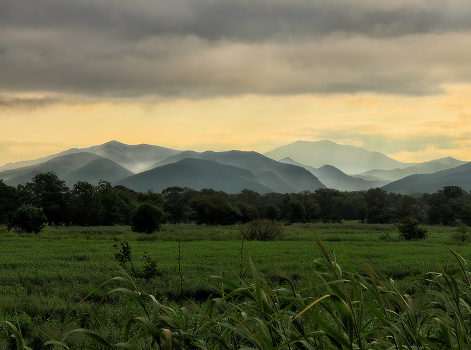 Dawn in the mountains