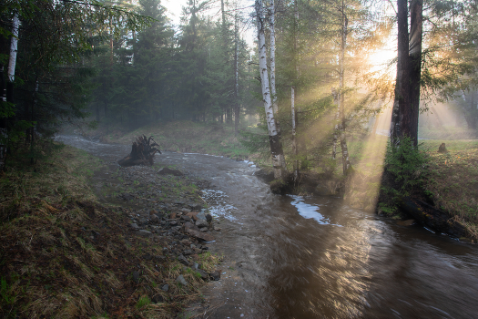 Evening Rays