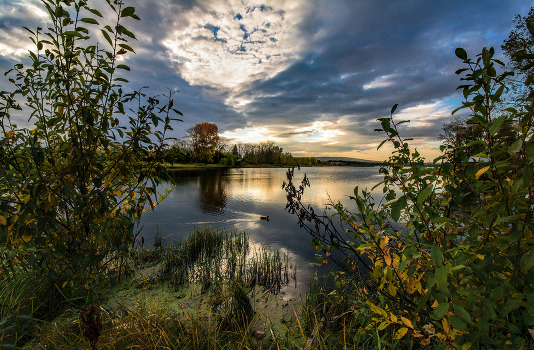 Evening on the lake