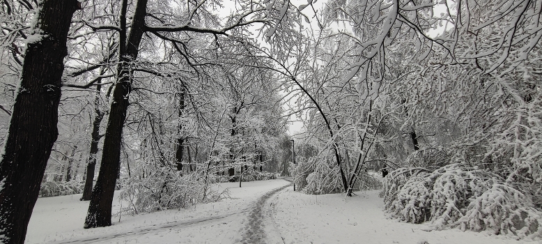 Moscow snowfall
