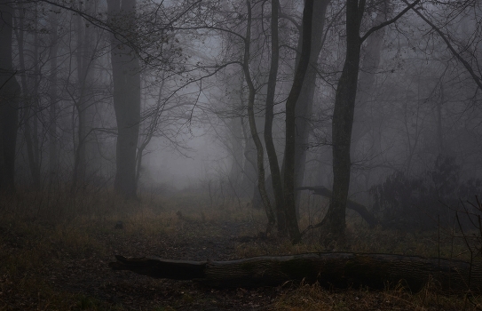 Misty