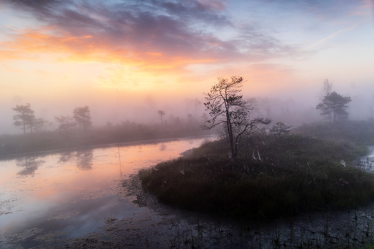 Bright morning