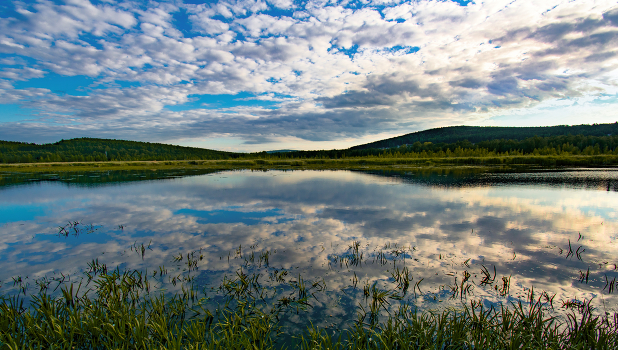 Summer panorama