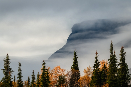 Breath of Autumn.