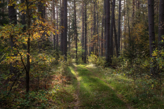Signs of autumn.